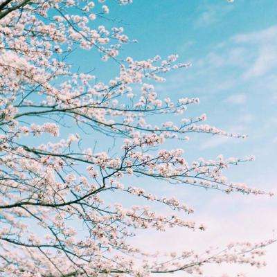 bat365在线平台官方网站